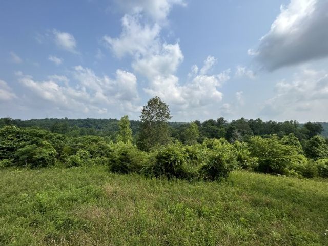 3807 Bear Creek Rd, Thompsons Station, TN 37179