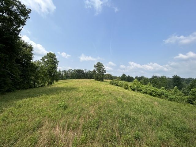 3807 Bear Creek Rd, Thompsons Station, TN 37179