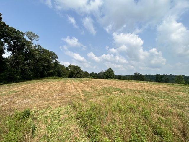 3807 Bear Creek Rd, Thompsons Station, TN 37179