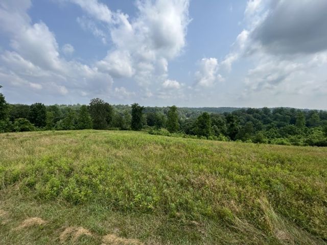 3807 Bear Creek Rd, Thompsons Station, TN 37179