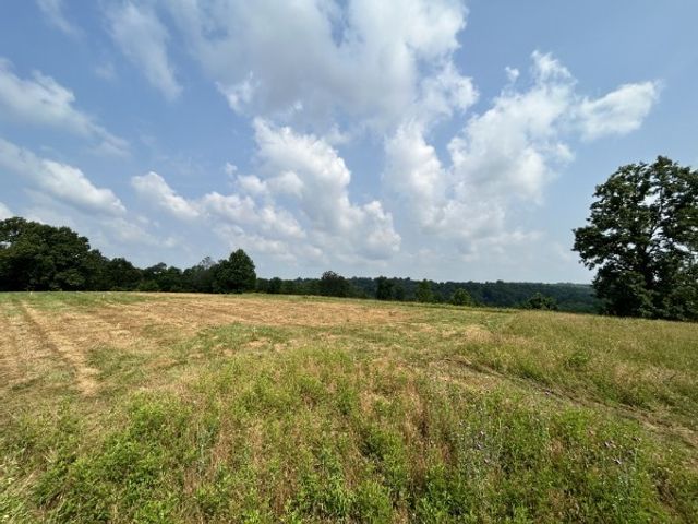 3807 Bear Creek Rd, Thompsons Station, TN 37179