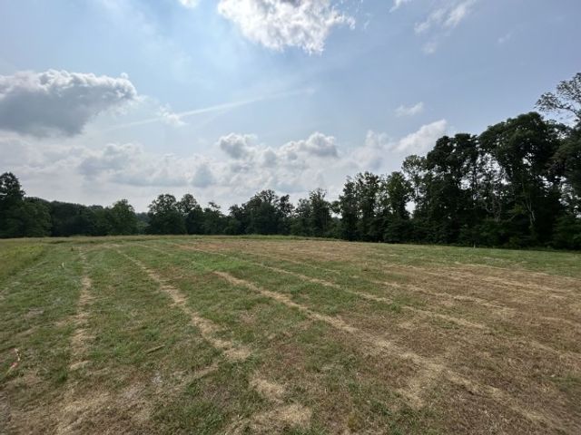 3807 Bear Creek Rd, Thompsons Station, TN 37179