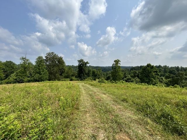 3807 Bear Creek Rd, Thompsons Station, TN 37179