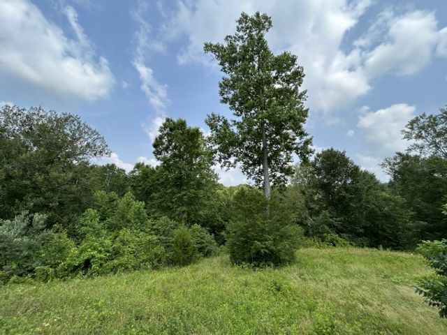 3807 Bear Creek Rd, Thompsons Station, TN 37179