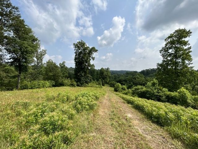 3807 Bear Creek Rd, Thompsons Station, TN 37179