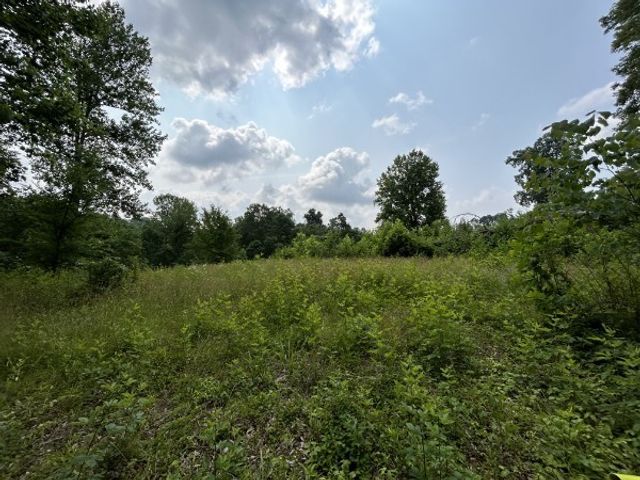 3807 Bear Creek Rd, Thompsons Station, TN 37179