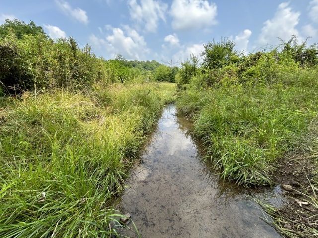 3807 Bear Creek Rd, Thompsons Station, TN 37179