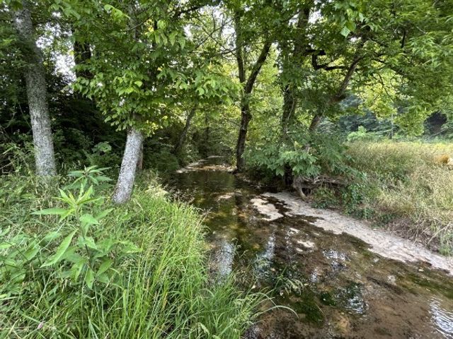 3807 Bear Creek Rd, Thompsons Station, TN 37179