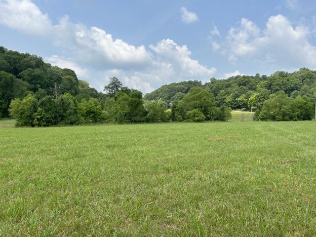 3807 Bear Creek Rd, Thompsons Station, TN 37179