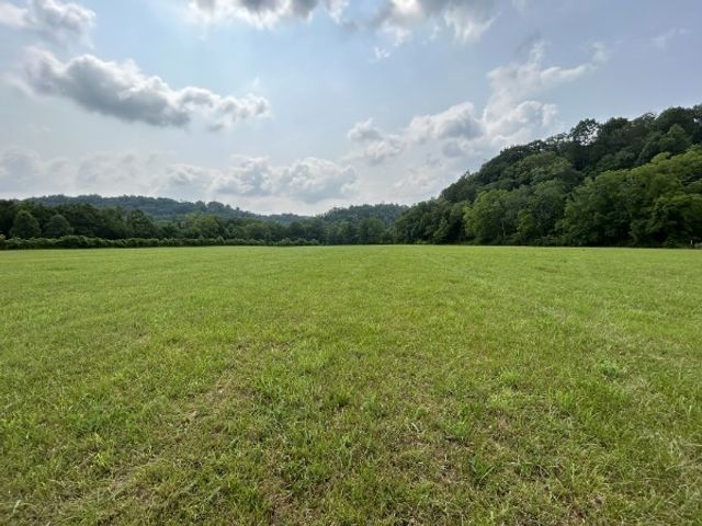 3807 Bear Creek Rd, Thompsons Station, TN 37179