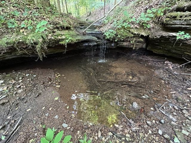 3807 Bear Creek Rd, Thompsons Station, TN 37179