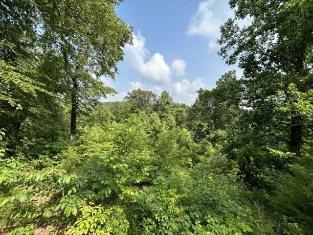 3807 Bear Creek Rd, Thompsons Station, TN 37179