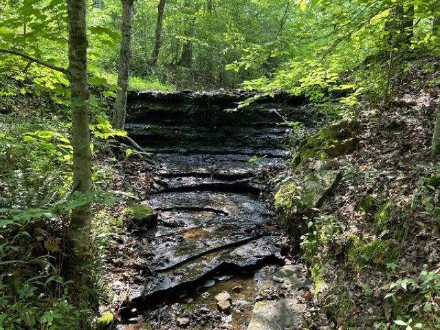 3807 Bear Creek Rd, Thompsons Station, TN 37179