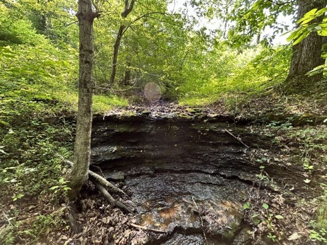 3807 Bear Creek Rd, Thompsons Station, TN 37179