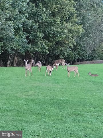 131 WATSON LN, Bellefonte, PA 16823