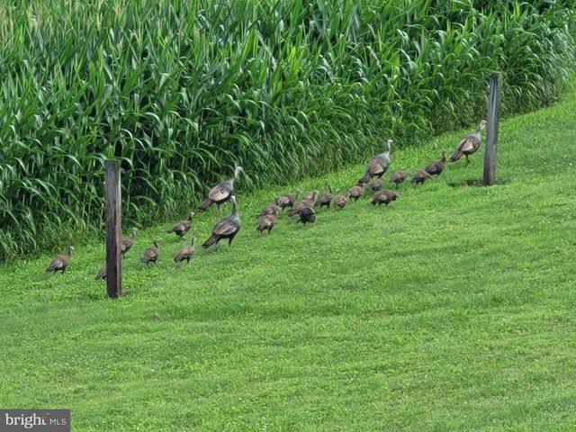 131 WATSON LN, Bellefonte, PA 16823