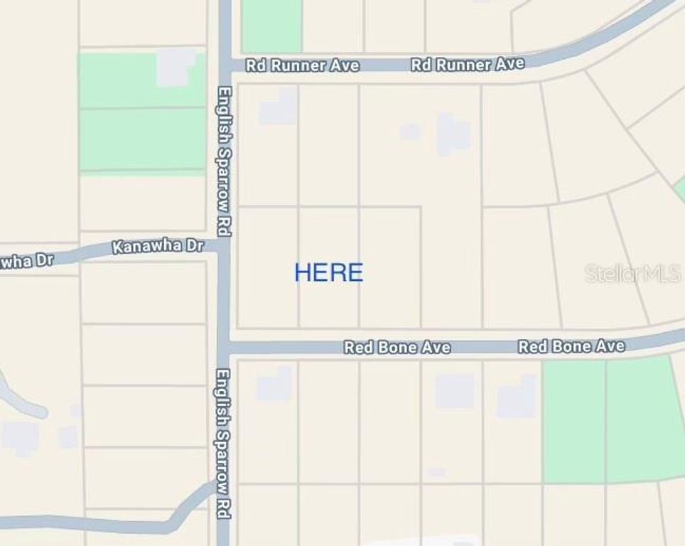 13189 RED BONE AVENUE, Weeki Wachee, FL 34614