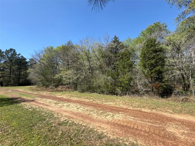 26842 Eagle Drive, Hempstead, TX 77445