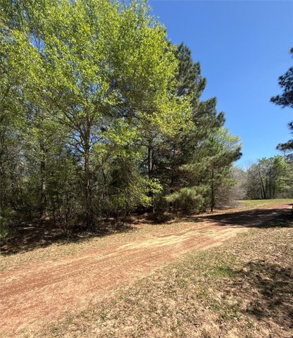26842 Eagle Drive, Hempstead, TX 77445