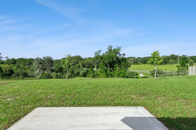 26180 FEATHERGRASS CIRCLE, Leesburg, FL 34748