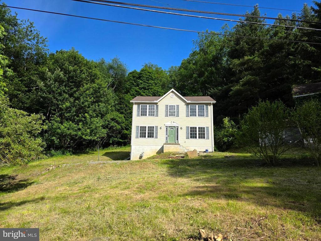 Image 19 of property listing at 17420 PORTER RD, Eckhart Mines, MD 21528