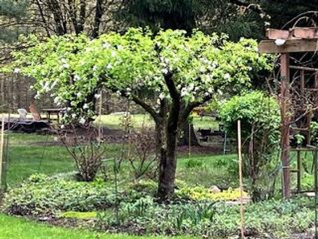 51433 8th Avenue, Grand Junction, MI 49056