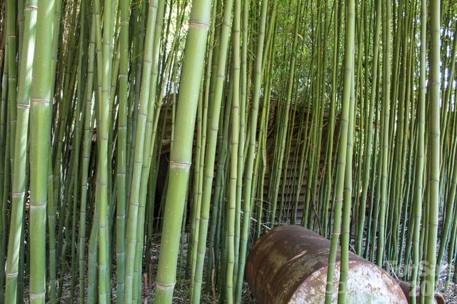 1293 Lake Logan Road, Canton, NC 28716