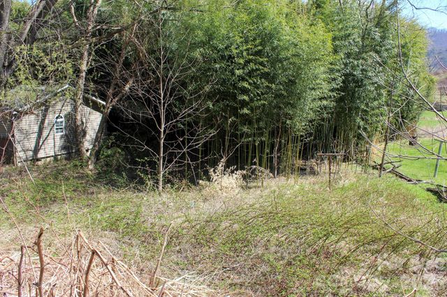 1293 Lake Logan Road, Canton, NC 28716