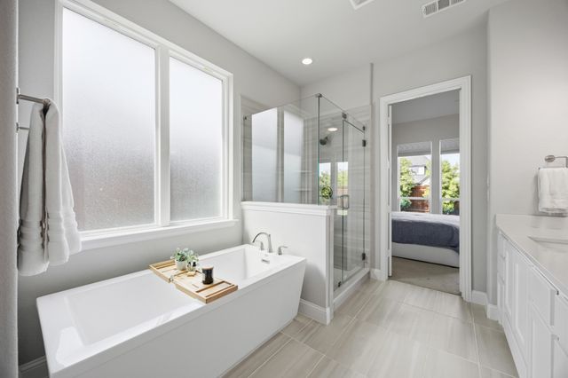 4721 Bristleleaf Lane, Prosper, TX 75078