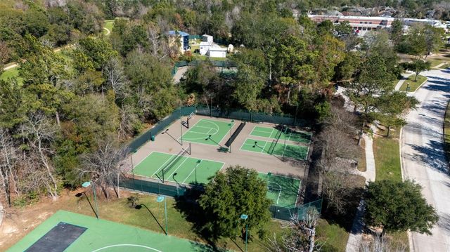 28431 Lauren Cove Lane, Spring, TX 77386