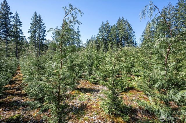 101 Andrejs Road, Shelton, WA 98584