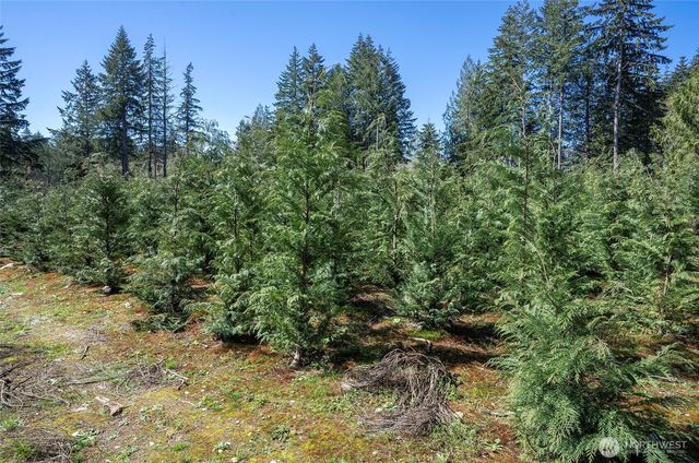 101 Andrejs Road, Shelton, WA 98584