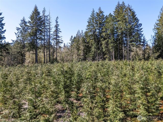101 Andrejs Road, Shelton, WA 98584
