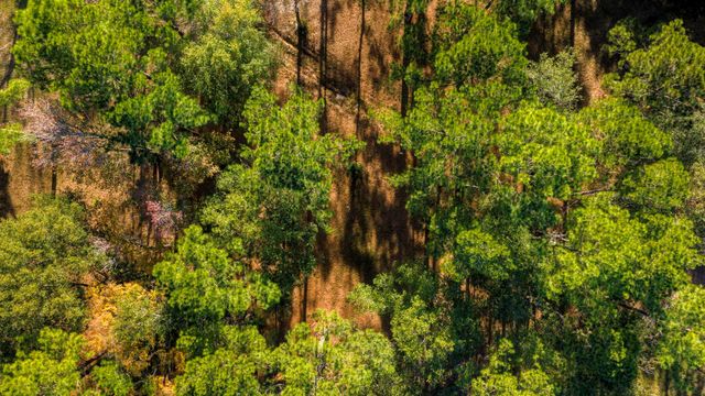 TBD Ranching Way, Montgomery, TX 77356