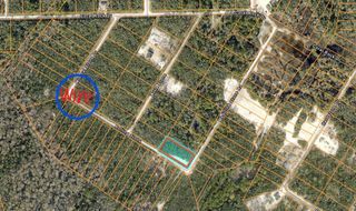20122 MEDICINE STONE #10 DRIVE, Webster, FL 33597