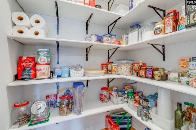 509 Long Ridge Drive, Lexington, SC 29073