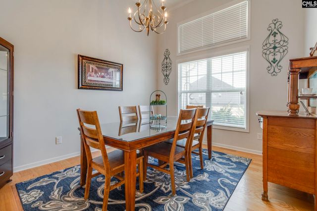 509 Long Ridge Drive, Lexington, SC 29073