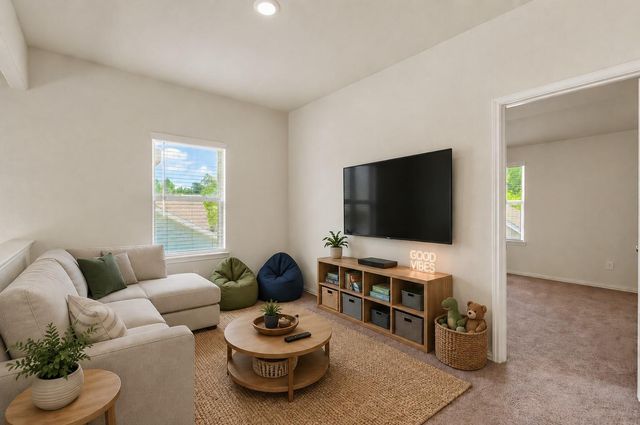 216 N Lynx Trail, Montgomery, TX 77316