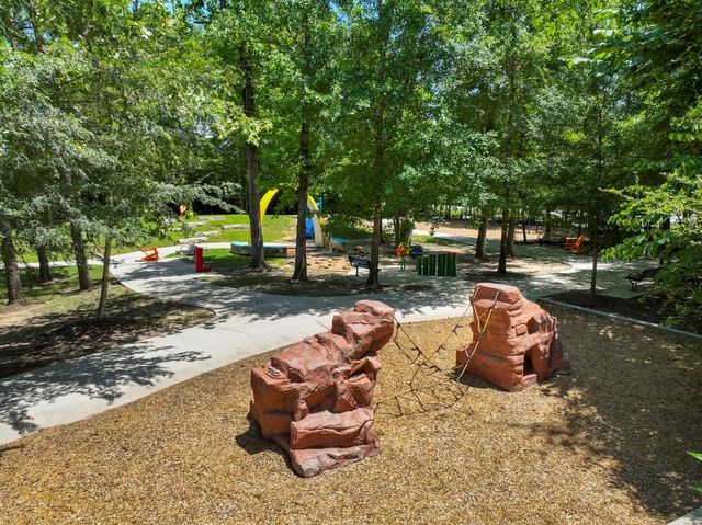 216 N Lynx Trail, Montgomery, TX 77316