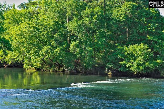 2017 Shallow Bluff Court, Lexington, SC 29072