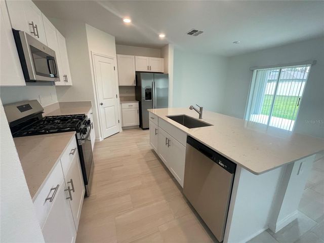 9645 CARABINER WAY, Land O Lakes, FL 34637