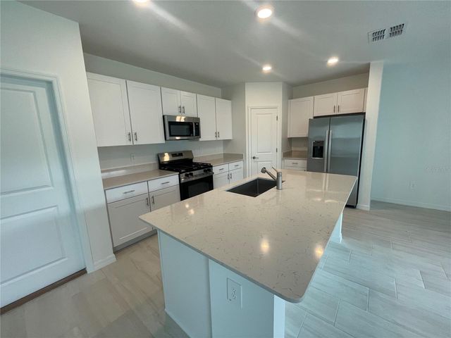 9645 CARABINER WAY, Land O Lakes, FL 34637