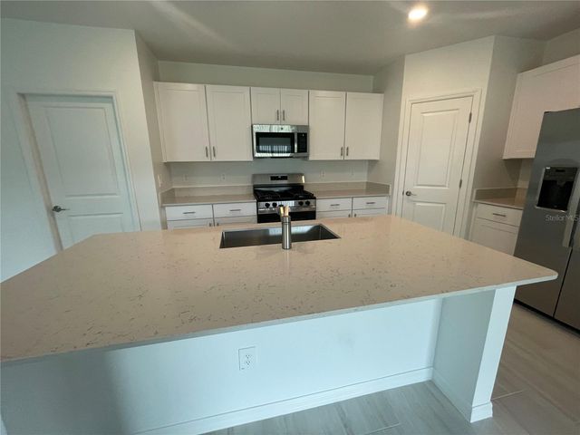 9645 CARABINER WAY, Land O Lakes, FL 34637