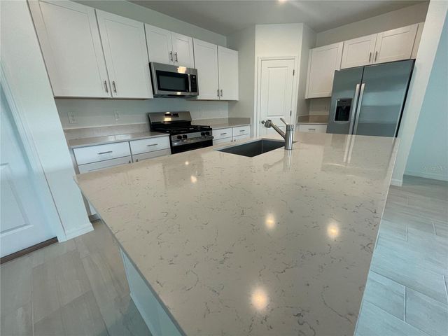 9645 CARABINER WAY, Land O Lakes, FL 34637