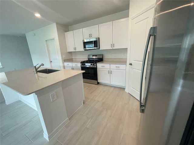 9645 CARABINER WAY, Land O Lakes, FL 34637