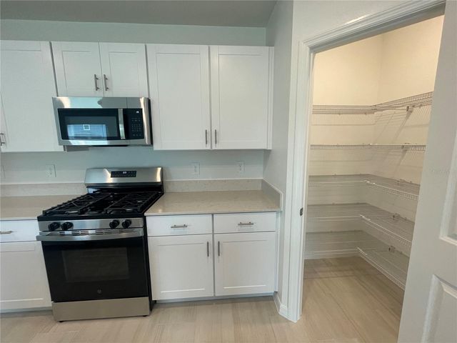 9645 CARABINER WAY, Land O Lakes, FL 34637