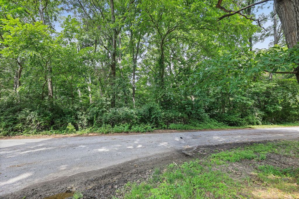 Image 6 of property listing at Lot 1 Brookhaven Drive, Mt Vernon, IL 62864