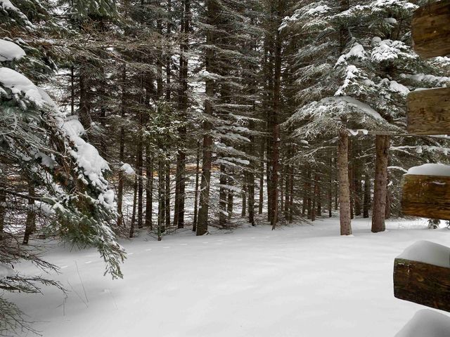 3434 E 14 Road, Colfax Twp, MI 49663