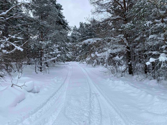 3434 E 14 Road, Colfax Twp, MI 49663