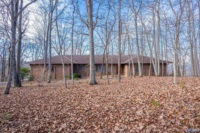 35 Circle Drive NE, Fort Payne, AL 35967